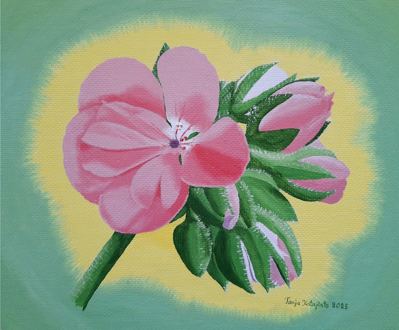 Pelargonia